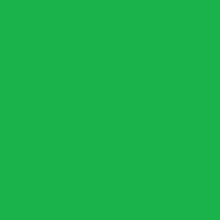 Load image into Gallery viewer, LIME GREEN  MINIMALIST